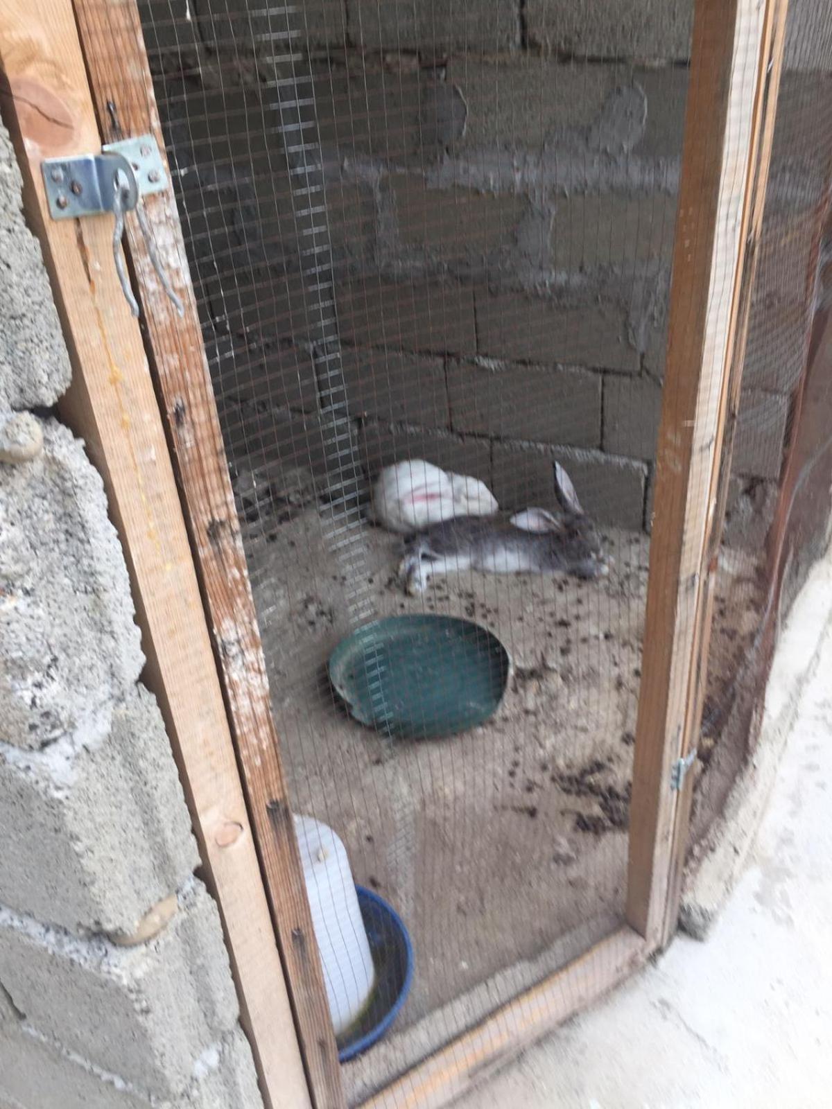 Mera Hostel Partskhanaqanevi Dış mekan fotoğraf