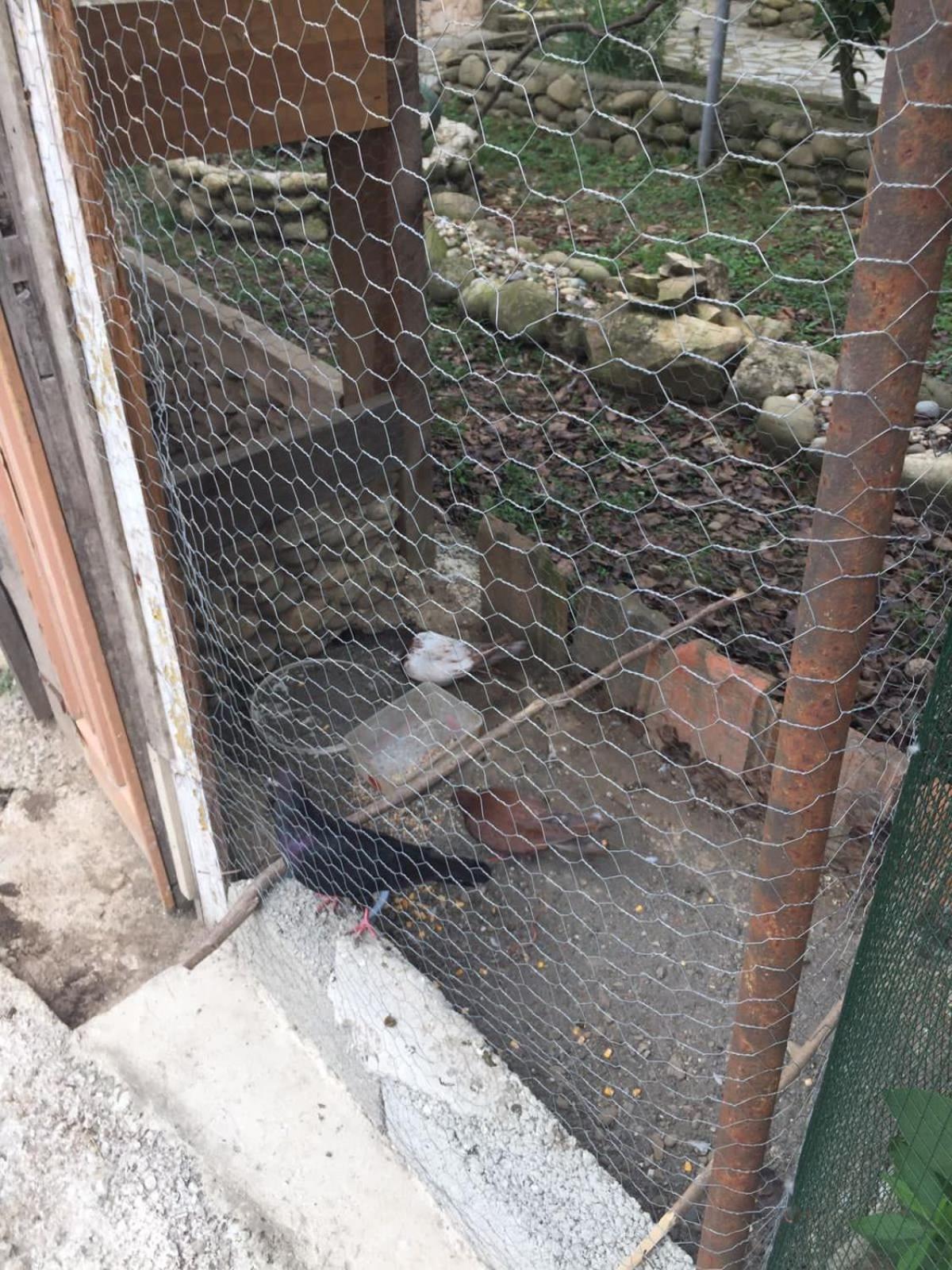 Mera Hostel Partskhanaqanevi Dış mekan fotoğraf