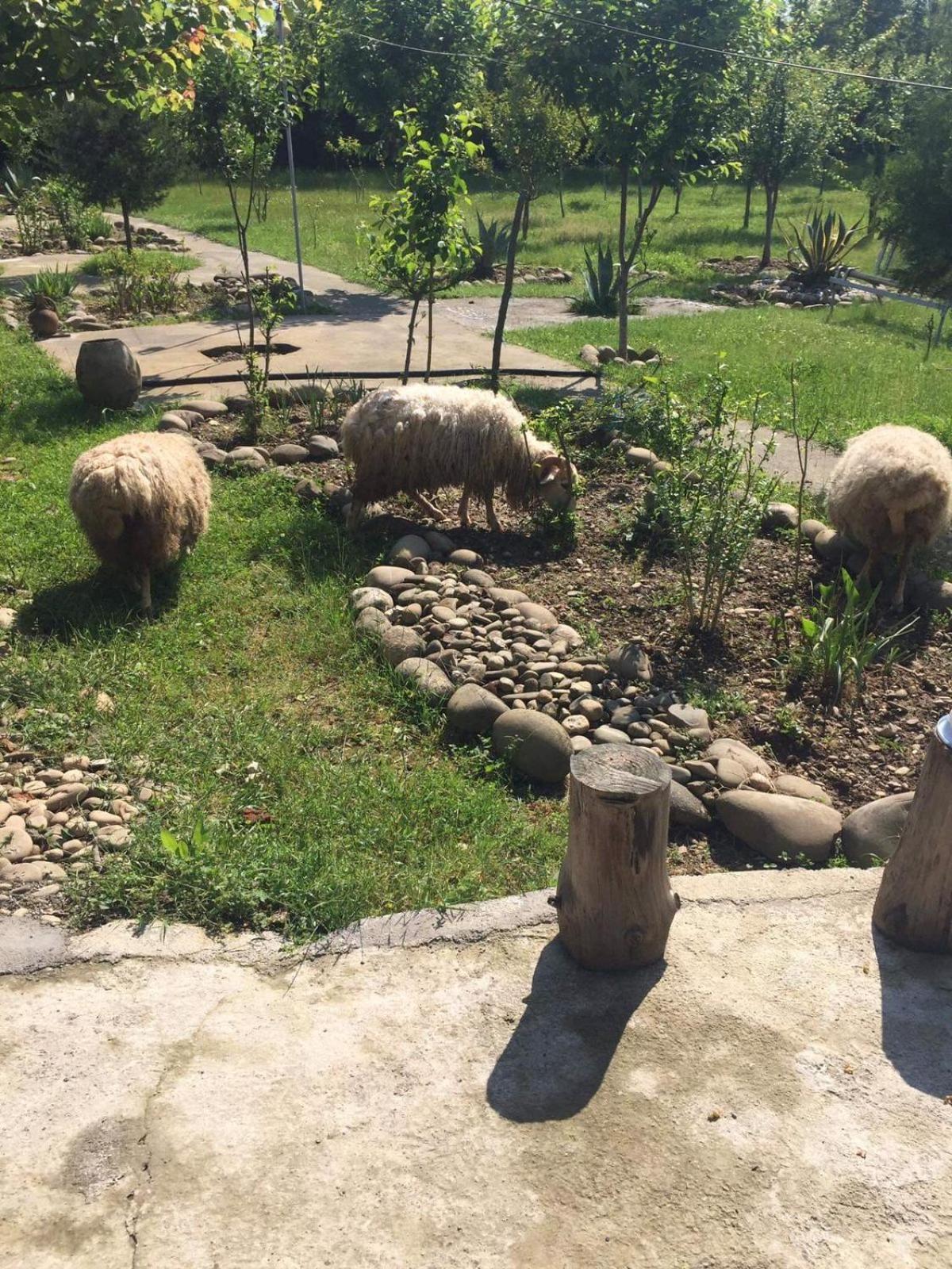 Mera Hostel Partskhanaqanevi Dış mekan fotoğraf